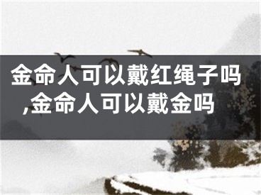 金命人可以戴红绳子吗,金命人可以戴金吗