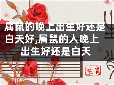 属鼠的晚上出生好还是白天好,属鼠的人晚上出生好还是白天