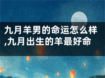 九月羊男的命运怎么样,九月出生的羊最好命