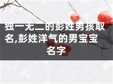 独一无二的彭姓男孩取名,彭姓洋气的男宝宝名字