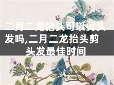 二月二龙抬头可以剪头发吗,二月二龙抬头剪头发最佳时间