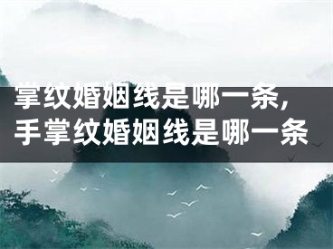 掌纹婚姻线是哪一条,手掌纹婚姻线是哪一条