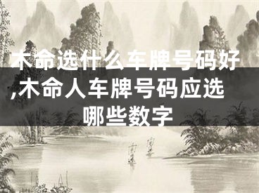 木命选什么车牌号码好,木命人车牌号码应选哪些数字