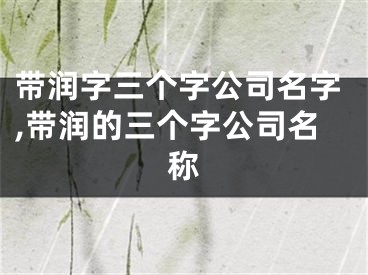 带润字三个字公司名字,带润的三个字公司名称