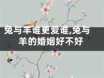兔与羊谁更爱谁,兔与羊的婚姻好不好