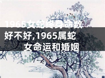 1965女蛇终身命数好不好,1965属蛇女命运和婚姻