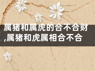 属猪和属虎的合不合财,属猪和虎属相合不合