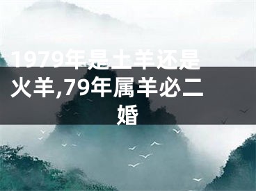 1979年是土羊还是火羊,79年属羊必二婚