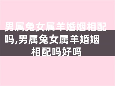 男属兔女属羊婚姻相配吗,男属兔女属羊婚姻相配吗好吗