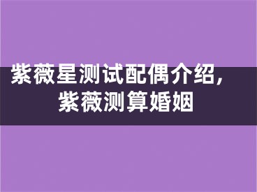 紫薇星测试配偶介绍,紫薇测算婚姻