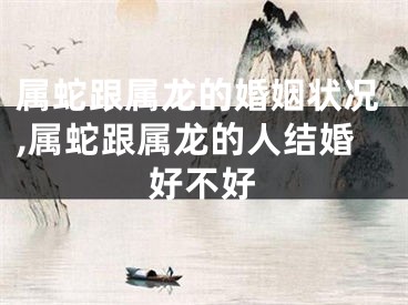 属蛇跟属龙的婚姻状况,属蛇跟属龙的人结婚好不好