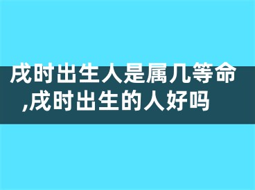 戌时出生人是属几等命,戌时出生的人好吗