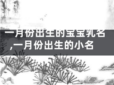 一月份出生的宝宝乳名,一月份出生的小名