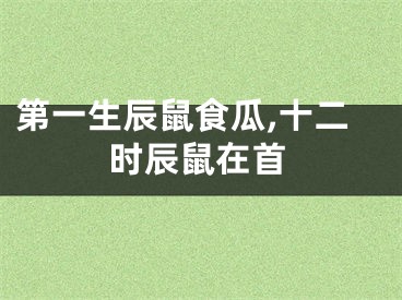 第一生辰鼠食瓜,十二时辰鼠在首