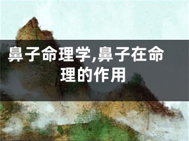 鼻子命理学,鼻子在命理的作用