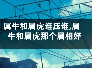 属牛和属虎谁压谁,属牛和属虎那个属相好