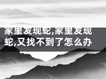 家里发现蛇,家里发现蛇,又找不到了怎么办