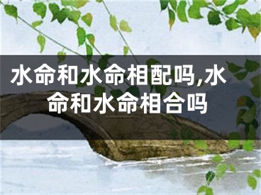 水命和水命相配吗,水命和水命相合吗
