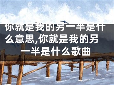 你就是我的另一半是什么意思,你就是我的另一半是什么歌曲