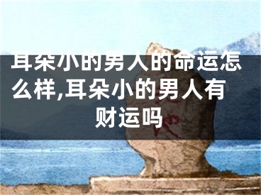 耳朵小的男人的命运怎么样,耳朵小的男人有财运吗