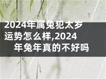 2024年属兔犯太岁运势怎么样,2024年兔年真的不好吗
