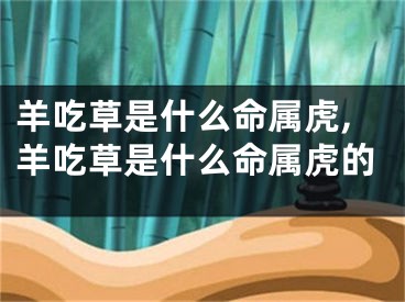 羊吃草是什么命属虎,羊吃草是什么命属虎的