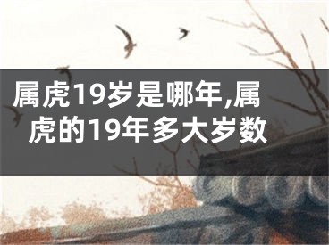属虎19岁是哪年,属虎的19年多大岁数