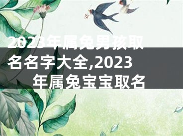 2023年属兔男孩取名名字大全,2023年属兔宝宝取名