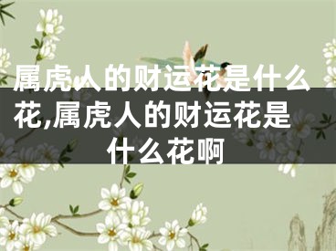 属虎人的财运花是什么花,属虎人的财运花是什么花啊