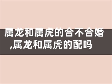 属龙和属虎的合不合婚,属龙和属虎的配吗