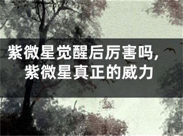 紫微星觉醒后厉害吗,紫微星真正的威力