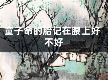 童子命的胎记在腰上好不好