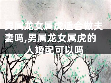 男属龙女属虎适合做夫妻吗,男属龙女属虎的人婚配可以吗