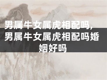 男属牛女属虎相配吗,男属牛女属虎相配吗婚姻好吗