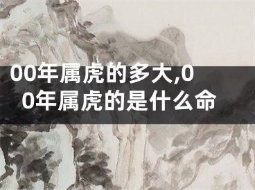 00年属虎的多大,00年属虎的是什么命