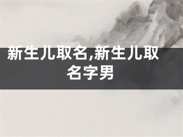 新生儿取名,新生儿取名字男