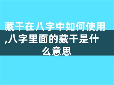 藏干在八字中如何使用,八字里面的藏干是什么意思
