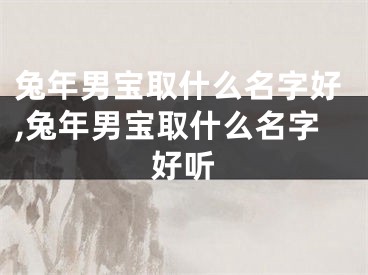 兔年男宝取什么名字好,兔年男宝取什么名字好听