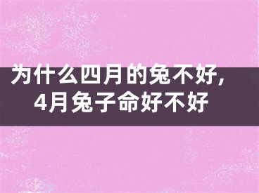 为什么四月的兔不好,4月兔子命好不好