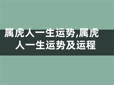 属虎人一生运势,属虎人一生运势及运程