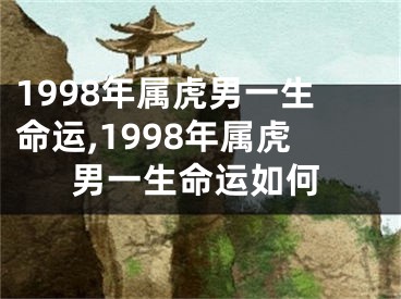 1998年属虎男一生命运,1998年属虎男一生命运如何