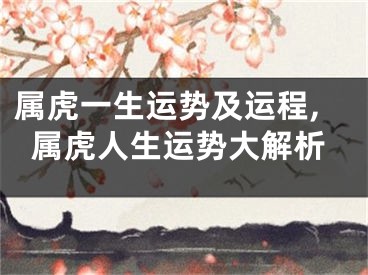 属虎一生运势及运程,属虎人生运势大解析