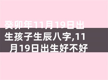 癸卯年11月19日出生孩子生辰八字,11月19日出生好不好