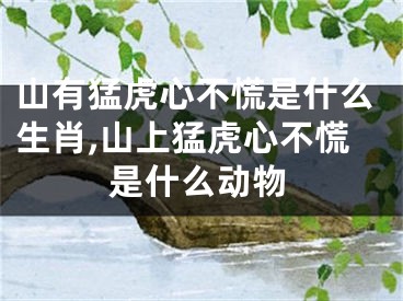 山有猛虎心不慌是什么生肖,山上猛虎心不慌是什么动物