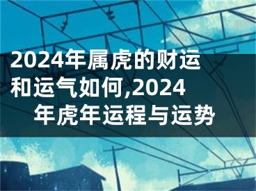 2024年属虎的财运和运气如何,2024年虎年运程与运势