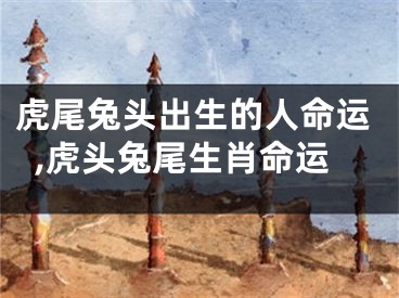虎尾兔头出生的人命运,虎头兔尾生肖命运