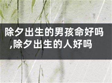 除夕出生的男孩命好吗,除夕出生的人好吗