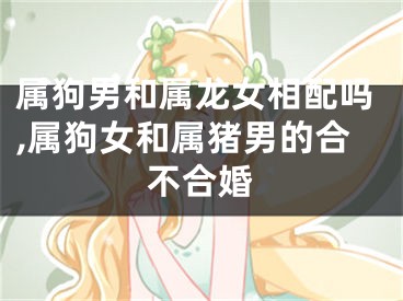 属狗男和属龙女相配吗,属狗女和属猪男的合不合婚
