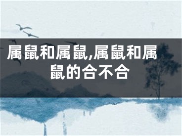 属鼠和属鼠,属鼠和属鼠的合不合