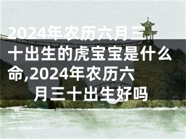 2024年农历六月三十出生的虎宝宝是什么命,2024年农历六月三十出生好吗